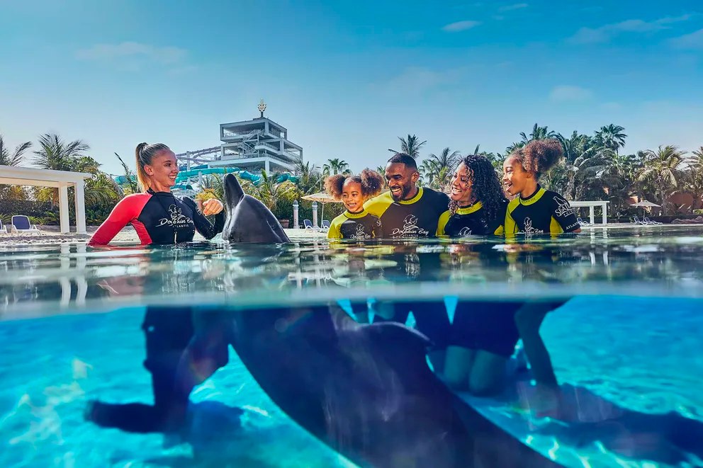 Dolphin Experiences